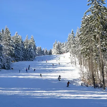 Apartmán Skiapartma - V Orlických Horách *
