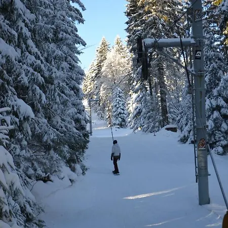 Skiapartma - V Orlickych Horach Říčky