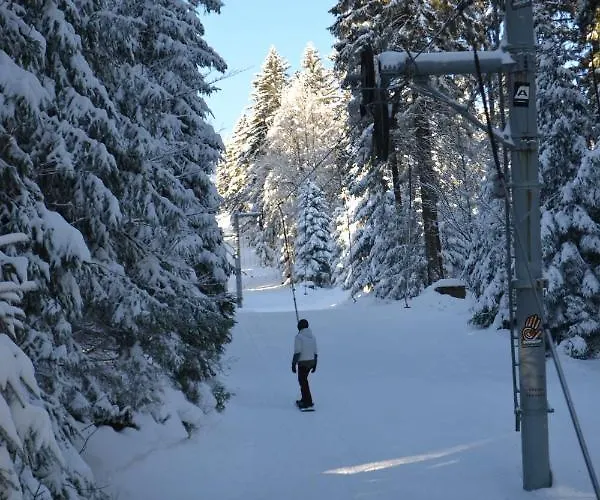 Skiapartma - V Orlickych Horach Říčky